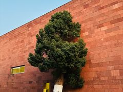 -春雪面馆(转塘店)