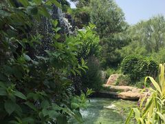 -燕郊植物园