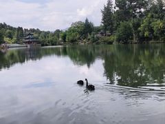 -黑龙潭公园