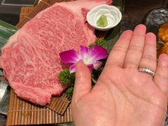 黒毛和牛単品-俺的焼肉(銀座9丁目店)