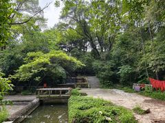 -沈阳植物园