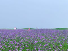 -秦皇岛阿尔卡迪亚滨海度假酒店