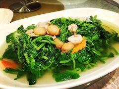 -福鼎轩海鲜大酒楼(皇轩酒店)