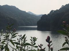 -广州市石门国家森林公园