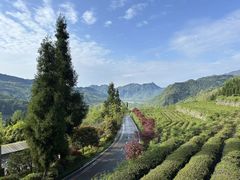 -太阳湾风景区