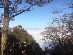 -塔云山