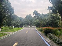 -张坝桂圆林公园