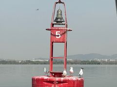 -西昌邛海湿地