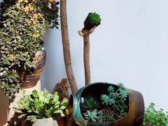 -苏州苏顺民宿(观前街店)