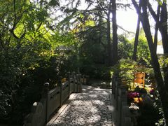 -汇龙潭