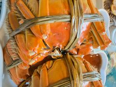 -水岸居湖景农家乐·阳澄湖大闸蟹