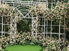 -同庆楼(花园店)