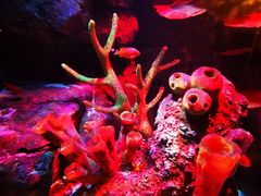 -沈阳海洋探索中心