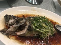 清蒸老虎斑-海都六福酒家(世博广场店)