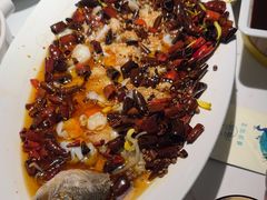 -雀蓝川菜(滨湖万象汇店)