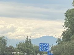 -老号尤兔头(幸福店)