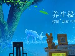 -道合堂·中式按摩·spa(民治店)