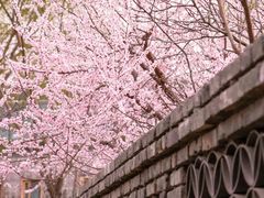 -三里河公园