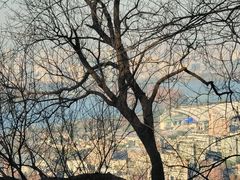 -紫金山山顶公园