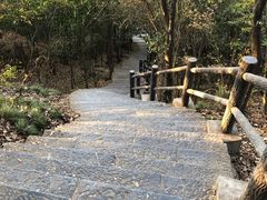 -紫金山山顶公园