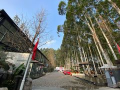 门面-桉树林A coffee 森林餐厅(三圣乡店)