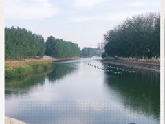 -天津武清北运河郊野公园房车露营地