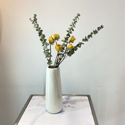 -丝语萱形象
