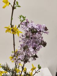 -今日陶艺(富力广场店)