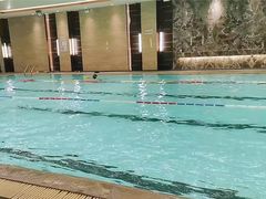 -DBSWIM深呼吸国际游泳培训(黄河路店)