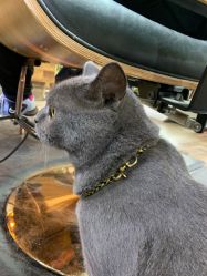 -青木造型HAIR·あおき髪を刈る潮人店