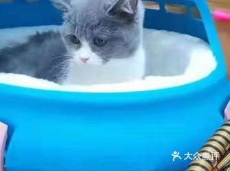 分分钟就变为萌化了,大概了解一下之后果断就入手了