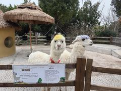 -珠海海泉湾神秘岛亲子乐园