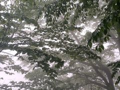 -洛阳白云山景区