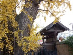 -秦岭风景区