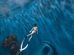 -苏州海洋馆