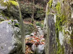 -秦岭风景区