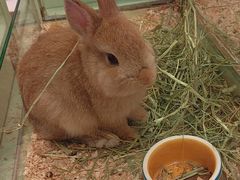 -龙猫仔乐园(惠福东路店)