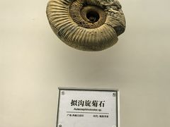 -辽宁古生物博物馆