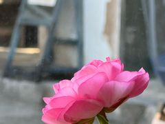 -甲乙丁書店·书茶咖·四合院