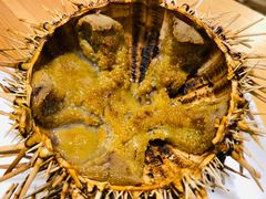 -海胆小馆(东北水饺·春柳店)