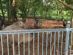 -广东茂名森林公园