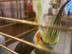 -潇湘·永州会馆(百子湾店)