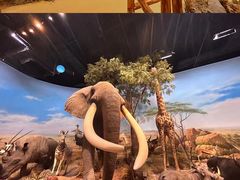 -陕西自然博物馆