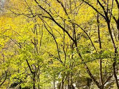 -北京上方山国家森林公园