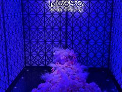 -MOSSO·Liveshow(M3香港广场店)