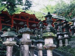 -奈良公园