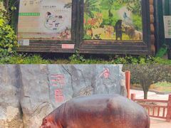 -贵州森林野生动物园