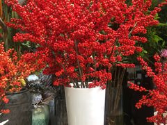 -双季花艺园艺市场(浦东店)