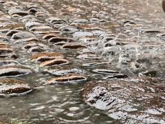 -衢州古城文化旅游区钟楼