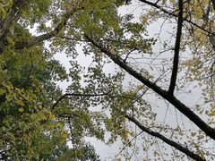 -苏州河梦清园环保主题公园